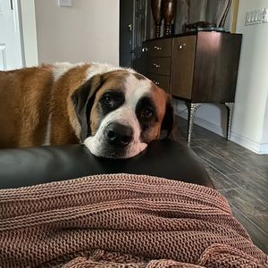 Meet your Posher, Heidi